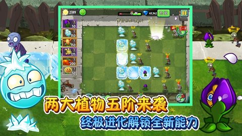 植物大战僵尸2021元旦版