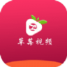 丝瓜草莓视频app